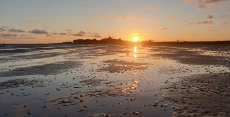 2025Neuwerk_Sonnenunte.2e16d0ba.fill-800x500.format-jpeg