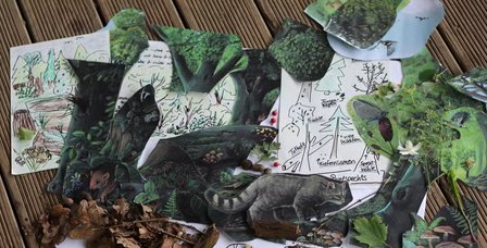 Screenshot 2025-11-21 at 08-35-11 wildkatzen-puzzle.jpg.avif (AVIF-Grafik 1244 × 821 Pixel)