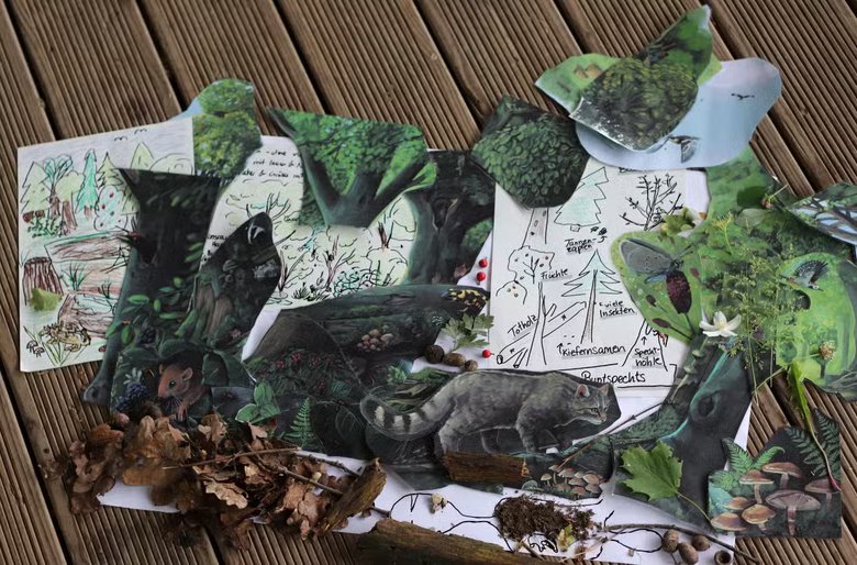 Screenshot 2025-11-21 at 08-35-11 wildkatzen-puzzle.jpg.avif (AVIF-Grafik 1244 × 821 Pixel)