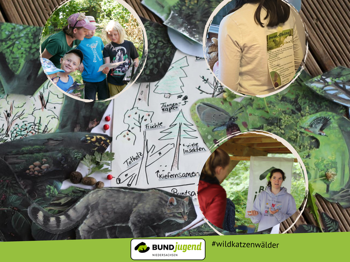 WEBSITE BILD Option 2