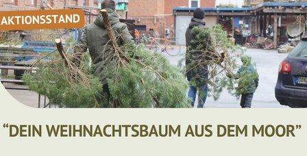 aktionsstand-weihnachtsbaum-moor-2025-690x339@2x