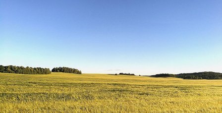 field-2518655_1280.2e16d0ba.fill-800x500.format-jpeg