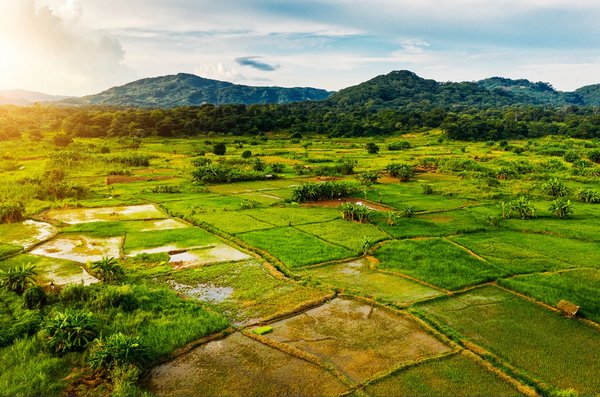 landwirtschaft_malawi